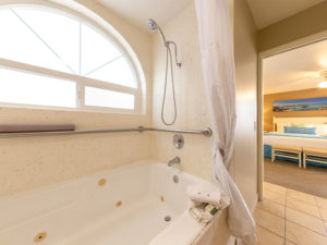 master bathroom soaker tub with detachable shower head