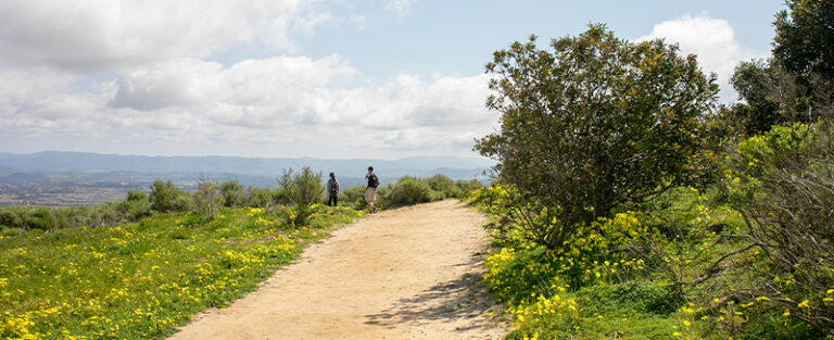 hiking trail