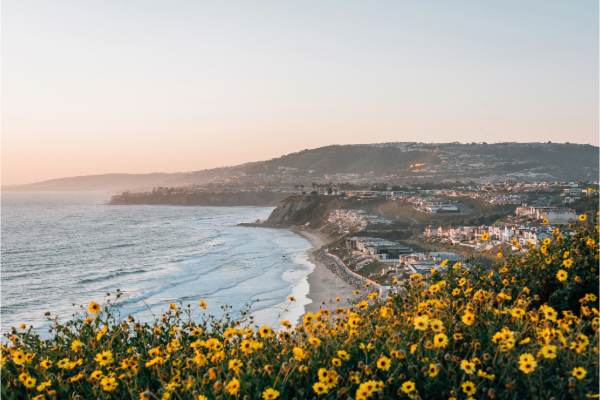 Dana Point Highlands Conservation