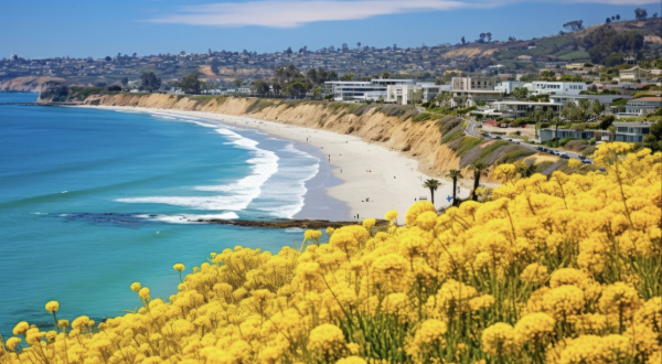 Dana Point headlands
