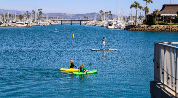 paddle boarding and kayaking in the harbor