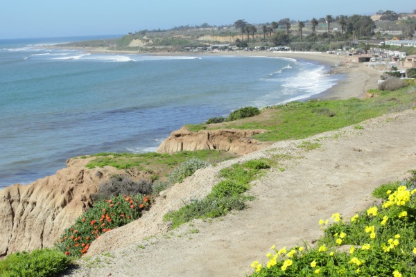 surfing at trestles beach